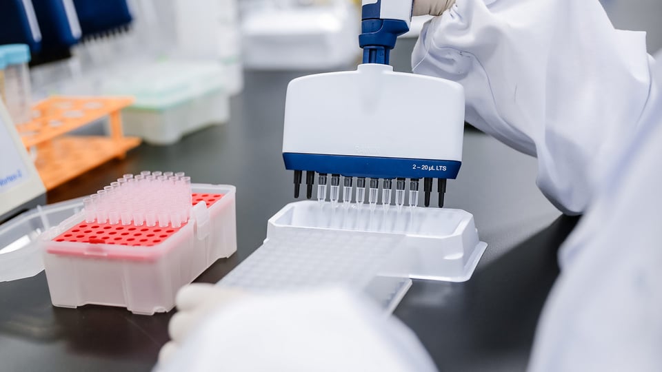 close up of scientist pipetting with a multichannel pipette